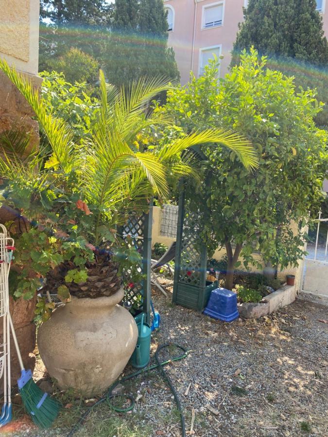 Appartamento Jardin D'Eden Saint-Raphaël Esterno foto